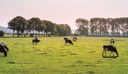 Dairy Tech Conference: Stoneleigh Park,  Warwickshire